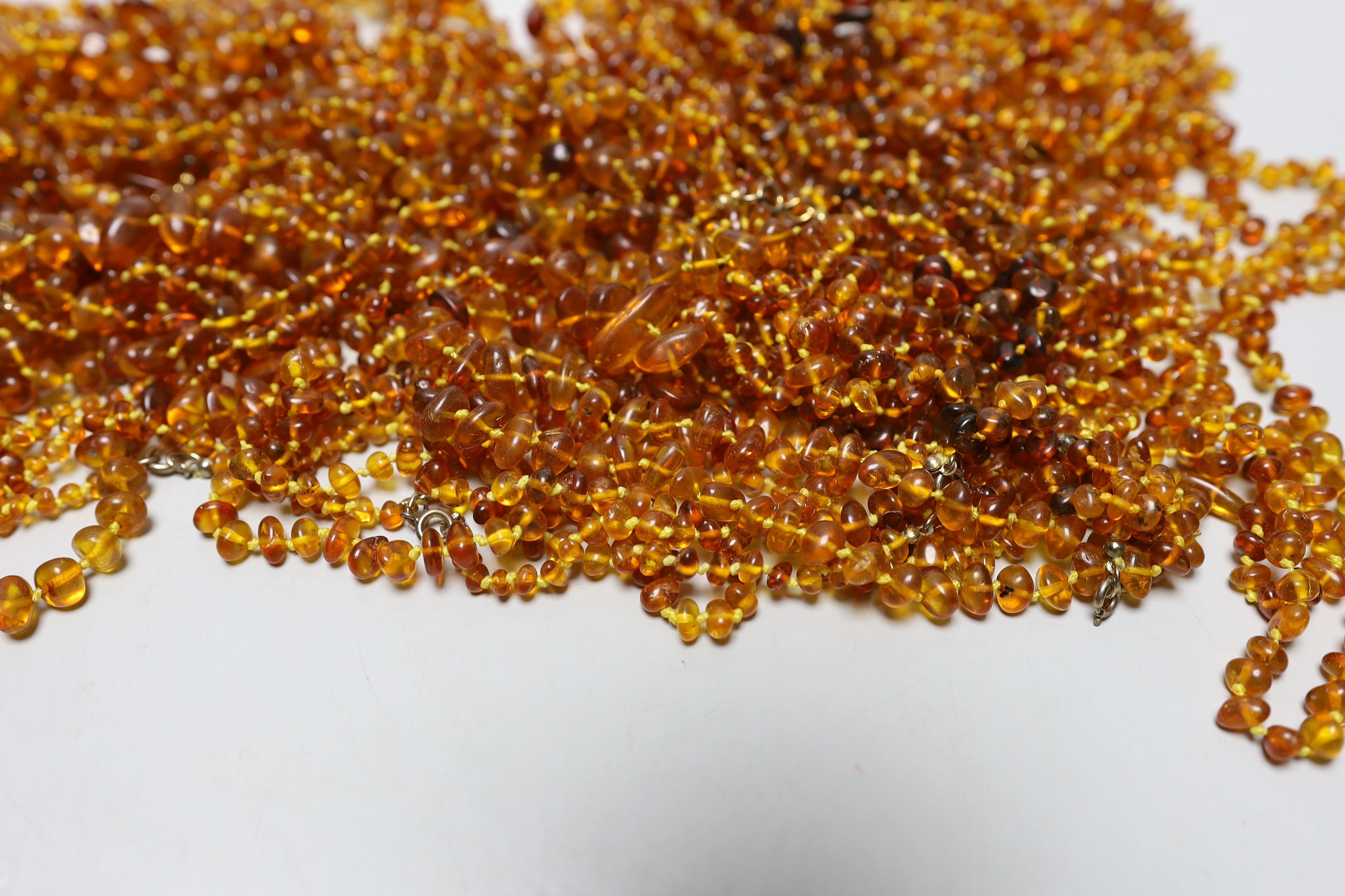 A collection of amber necklaces.